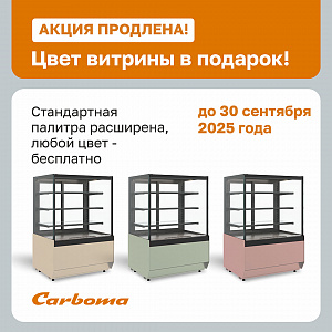 картинка АКЦИЯ! СТАНДАРТНЫЙ ЦВЕТ В ПОДАРОК! 
